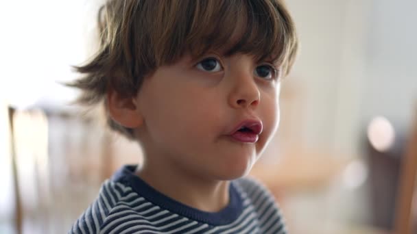 Barn Tugga Mat Med Öppen Mun Närbild Ansikte Liten Pojke — Stockvideo