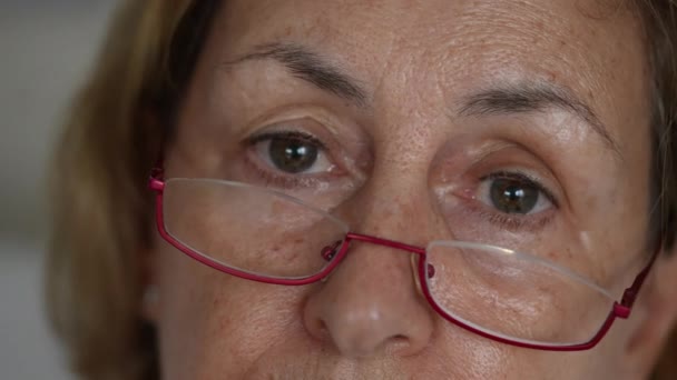 Starsza Pani Bliska Patrzy Kamerę Okularami Czytania Osoby Podeszłym Wieku — Wideo stockowe
