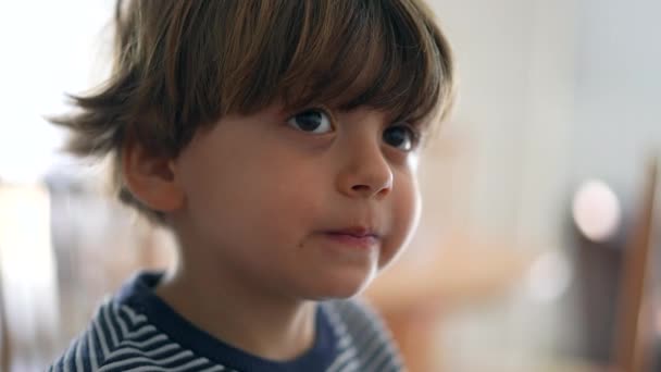 英俊的男性白人小孩的肖像 小男孩的近视脸 — 图库视频影像
