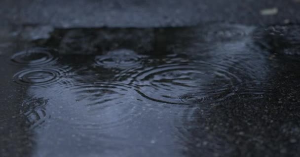 ダスク液体 雨キスストリート表面 織りスペル結合リップル 800 Fpsのスローモーションで巧みにキャプチャ — ストック動画
