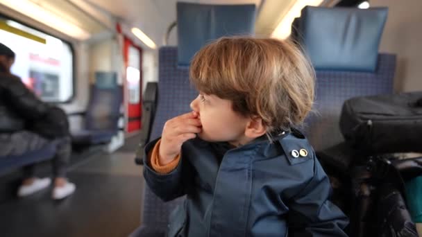 Dziecko Trzymające Jagody Pojemniku Podróżnym Jedzące Zdrowe Przekąski Owocowe Podczas — Wideo stockowe