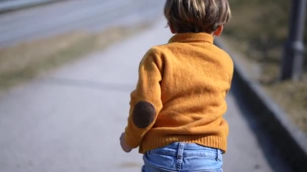 Dos Petit Garçon Excité Sprinter Extérieur Pendant Journée Automne Enfant — Video