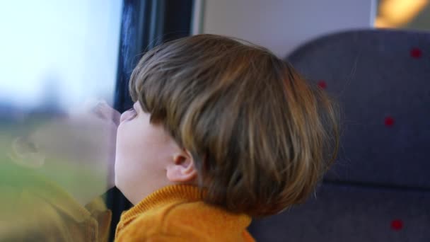 Quirky Close Little Boy Humorously Sticking His Face Train Window — Stock Video