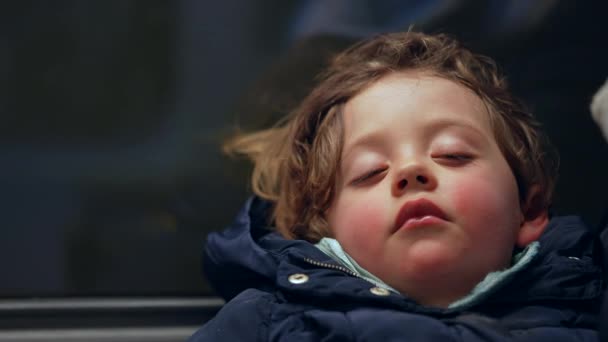 Menino Dormindo Enquanto Viaja Criança Dormindo Cochilando Transporte Close Rosto — Vídeo de Stock