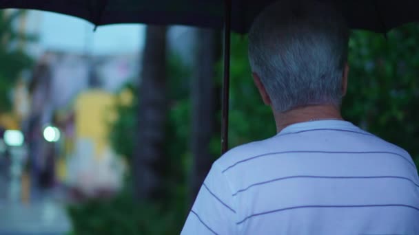 Зрелый Человек Прогуливается Городской Тропинке Держа Зонтик Дождливый Полдень — стоковое видео