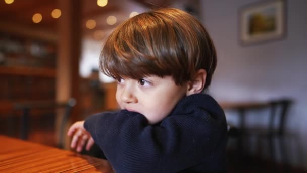 Unuděný Malý Chlapec Tahá Rukáv Zuby Ústy Zatímco Sedí Restauraci — Stock video