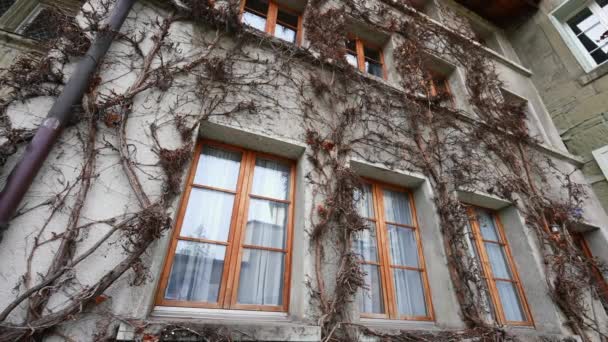 Building Exterior Dry Roots Grasping Windows Facade Establishing Shot Home — Stock Video