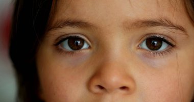 Little girls eyes staring camera. Close-up child eye