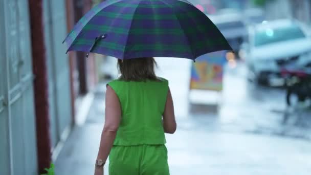 Vue Arrière Personne Marchant Sous Pluie Tenant Parapluie — Video
