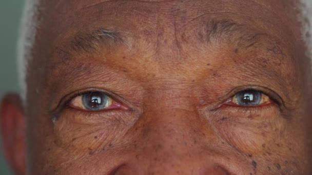 カメラを見て中立的な表情を持つ高齢の黒人上級男性のマクロクローズアップ 青い目で詳細な顔 — ストック動画