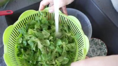 Mutfak lavabosunda durulama Yeşil Yapraklar, Öğle Yemeği için El Hazırlama Salatası