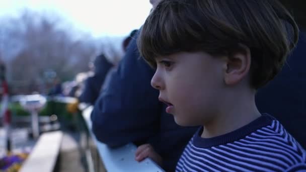 瑞士蒸汽球公园 小男孩乘坐微型火车 观察风景 — 图库视频影像