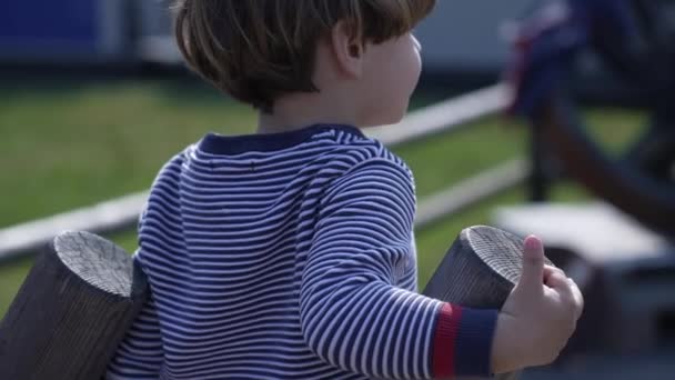 Powrót Małego Chłopca Obserwującego Park Publiczny Podczas Jesiennego Słonecznego Dnia — Wideo stockowe