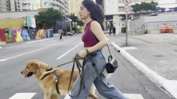 Şehir Macerası Mutlu Genç Bayan Gün Işığında Altın Avcısıyla Güvenli — Stok video