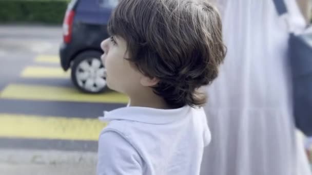 Junge Überquert Viel Befahrene Straße Und Hält Mutter Die Hand — Stockvideo