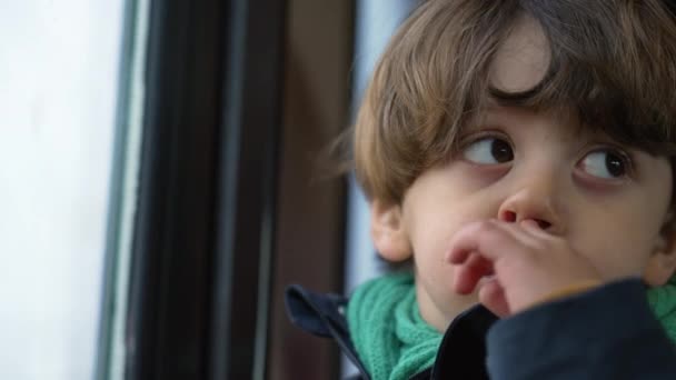 Zbliżenie Twarzy Małego Chłopca Dłubiącego Nosie Introspektywne Dziecko Podróżujące Pociągiem — Wideo stockowe