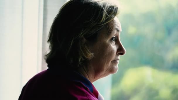 Pensive Elderly Lady Observing Rainfall Janela Casa Contemplação Solidão Contemplando — Vídeo de Stock