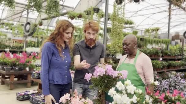 Flower Charms Redheaded Couple Delighted Blooms Lighthearted Florist Atmosphere Sharing — Stock Video