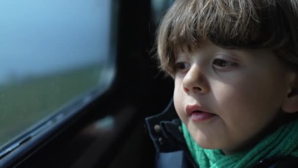 Μικρό Αγόρι Κοιτάζει Τοπίο Θέα Περνούν Από Παράθυρο Του Τρένου — Αρχείο Βίντεο
