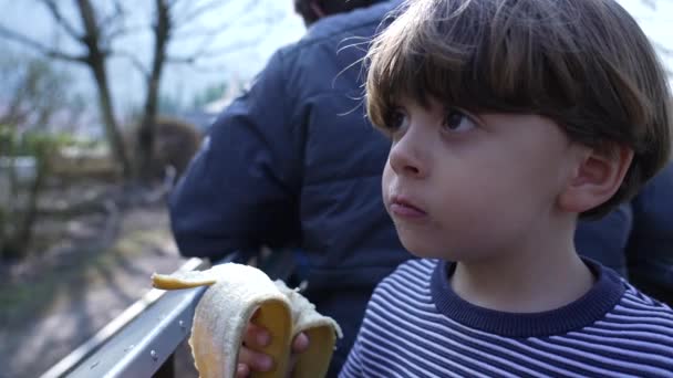 孩子们一边吃香蕉一边在铁路公园轨道上乘坐小型火车 健康饮食小童的近视脸 — 图库视频影像