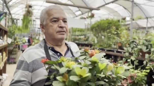Floristería Senior Con Movilidad Limitada Entusiasta Las Flores Resilientes Tiende — Vídeos de Stock
