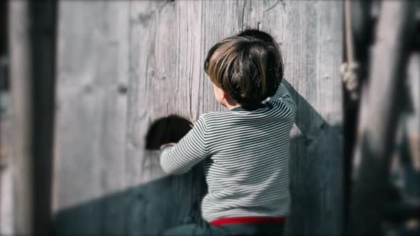Barnklättring Lekplats Struktur Liten Pojke Motionerar Offentlig Park Höstsäsongen — Stockvideo