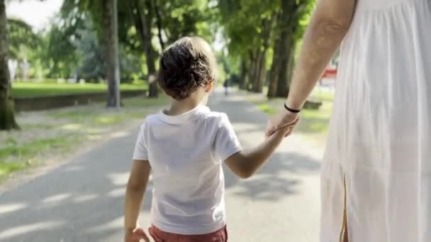 Matka Syn Trzymając Się Ręce Spacer Parku Słonecznym Więzi Wśród — Wideo stockowe