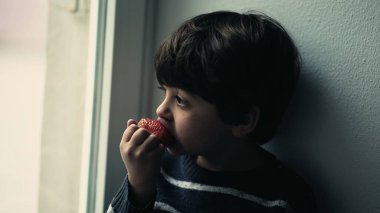 Görünüşte emilen genç, Taze Çilek Isırıyor