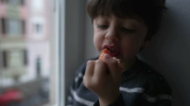 Küçük çocuk pencerede çilek yiyor. Çocuk sağlıklı besleyici bir meyveden bir ısırık alıyor