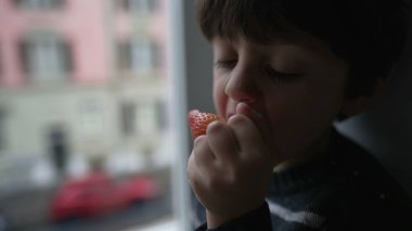 Küçük çocuk pencerede çilek yiyor. Çocuk sağlıklı besleyici bir meyveden bir ısırık alıyor