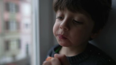 Küçük çocuk pencerede çilek yiyor. Çocuk sağlıklı besleyici bir meyveden bir ısırık alıyor