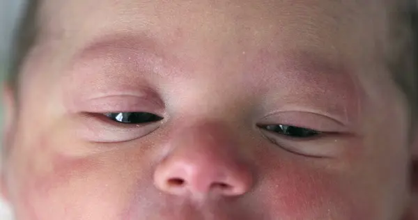 Infant newborn baby face and eyes in macro