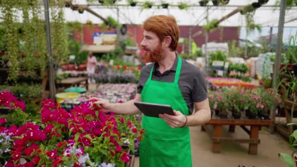 Homem Avental Verde Alavancando Tablet Para Inventário Flower Shop Jovem — Vídeo de Stock
