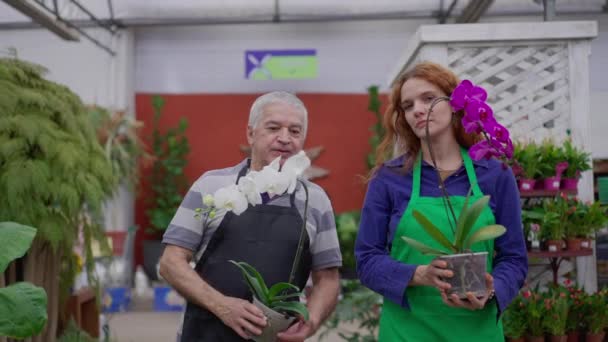 Працівники Садівництва Ходять Квітами Проході Магазину Молода Жінка Старший Чоловічий — стокове відео