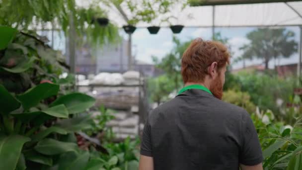 Młody Mężczyzna Pracownik Idzie Przez Wyspę Lokalnego Sklepu Ogrodniczego Spacerując — Wideo stockowe