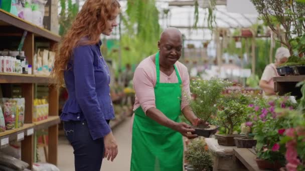 Старша Різнобічно Смілива Жінка Яка Допомагає Юному Клієнту Садівничій Крамниці — стокове відео