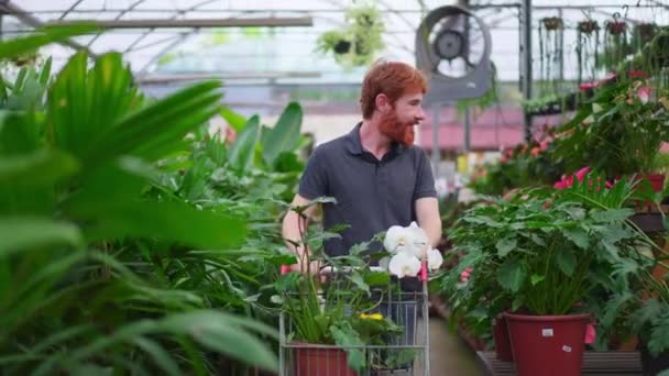 Чоловіки Клієнти Ходять Садівничій Крамниці Разом Торговою Тачкою Dynamic Tracking — стокове відео