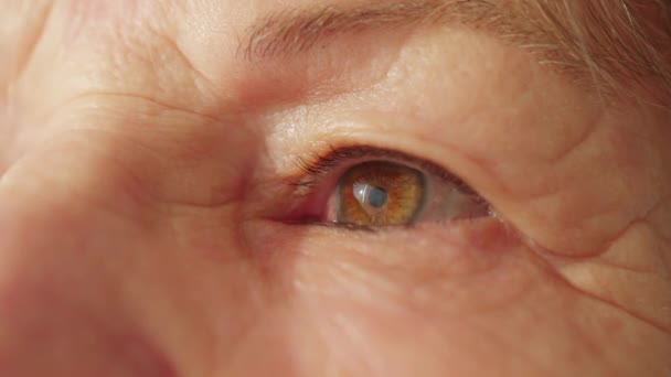 Femeia Vârstă Închide Ochii Meditație Ochii Persoanelor Vârstă Închiși Contemplare — Videoclip de stoc