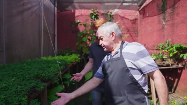 전문적으로 대화하는 원예학자 앞치마를 식물을 나이많은 꽃송이 — 비디오