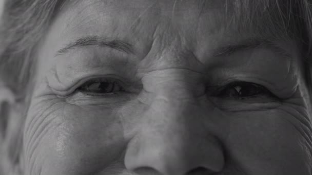Монохроматичний Макрозйомка Очей Старшої Жінки Виглядають Безпосередньо Камері Чорно Білий — стокове відео