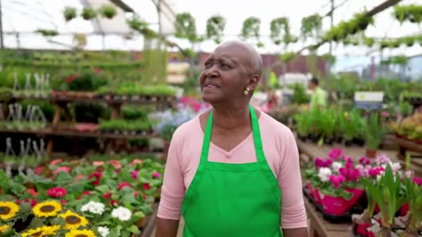 Jedna Czarna Starsza Pracownica Spacerująca Kwiaciarni Zielonym Fartuchu Afroamerykanka Przechadzająca — Wideo stockowe