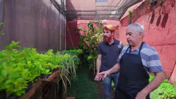 Jardinero Senior Ayudando Cliente Tienda Plantas Horticultura Flower Shop Backyard — Vídeos de Stock