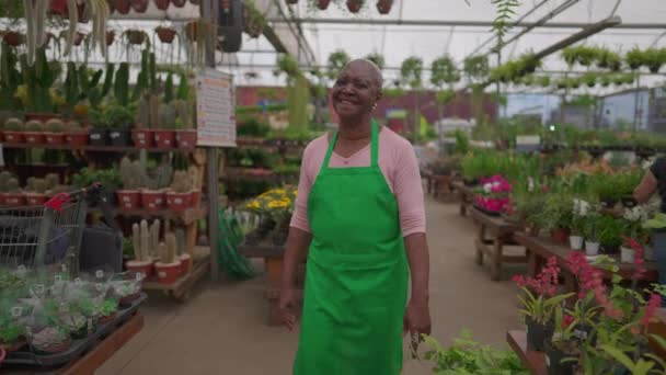 Una Empleada Brasileña Mayor Negra Feliz Caminando Través Plant Store — Vídeos de Stock