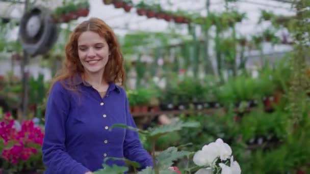 Радісна Жінка Вибирає Рослини Квіти Кошиком Квітковому Магазині Жіночі Покупки — стокове відео