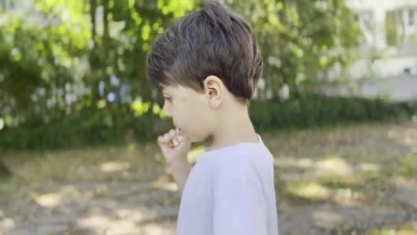 Niño Comiendo Bocadillo Durante Una Excursión Parque Diurno Explorando Banco — Vídeo de stock