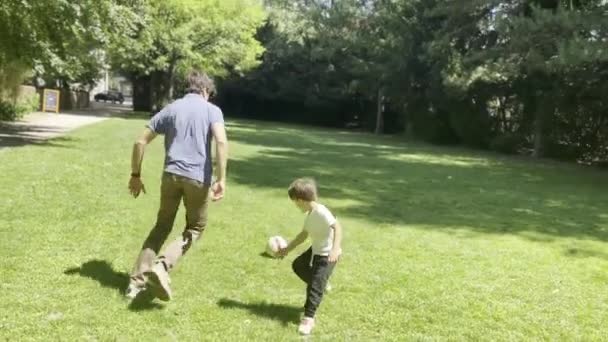 Ayah Dan Anak Nikmati Sepakbola Berkendara Fun Pada Hari Sunny — Stok Video