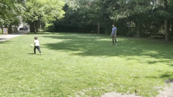 Child Playing Ball Dad Sunny Grass Field Bonding Having Fun — Stock Video