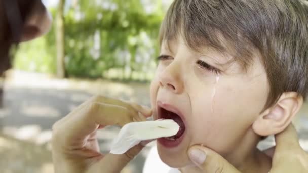 マタニアルコンフォート 母親は子供時代の共通の経験から彼の痛みを食べるボーイズガムウィンドに傾向 — ストック動画