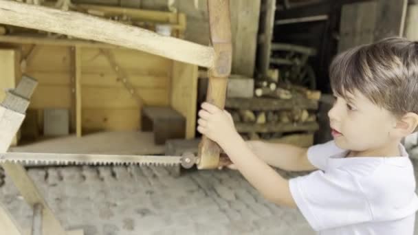 Young Boy Has Fun Assisting Adult Wood Cutting Outdoor Woodworking — Stock Video