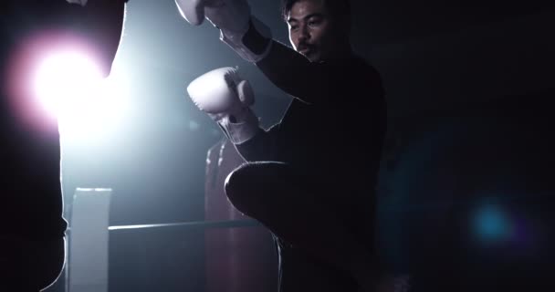ムエタイの戦闘機はボクシングリング内のボクシング手袋を身に着けているライバルをキック — ストック動画
